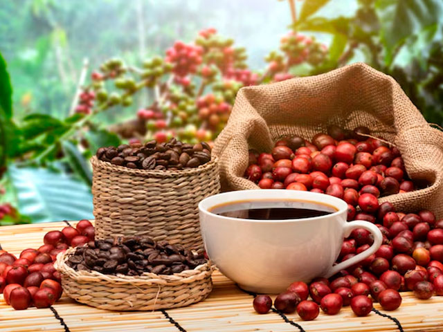 Tres-Quientales-Cafe-Blend-1